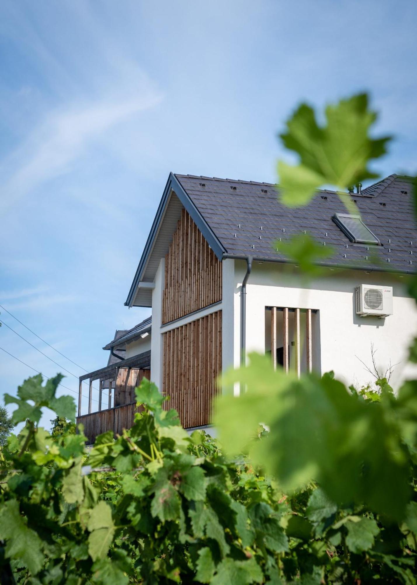 Aparthotel Domaine Edegger - Organic Winery Badacsony Badacsonytomaj Exterior foto